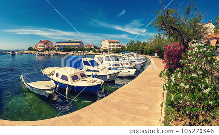 Petrcane in Dalmatia, Croatia 105270346