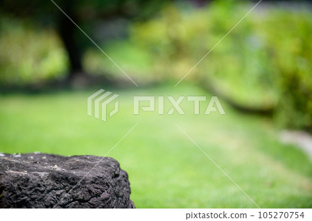 Natural stone for lush garden lawn and benches 105270754