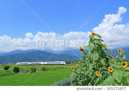 夏季大糸線特急梓1號 105271657