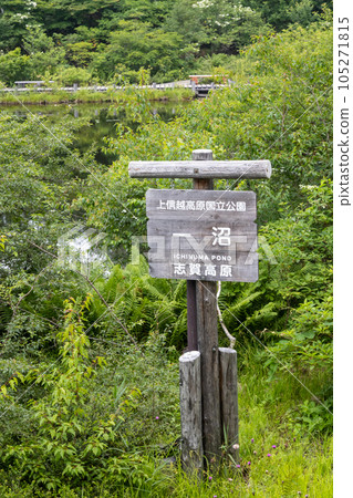 夏季市池的志賀高原 105271815