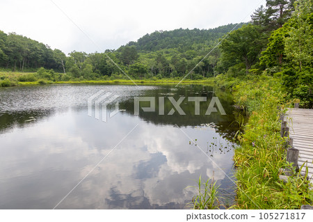 夏季市池的志賀高原 105271817