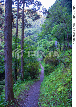 秩父華嚴瀑布入口附近的風景 105272053