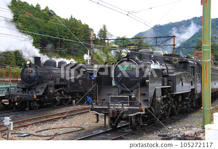 大井川鐵道千頭站的 C10 和 C11 蒸汽機車列 大井川鐵道千頭站的 C10 和 C11 蒸汽機車列 105272117