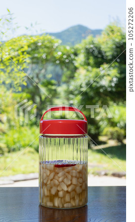 糖醋醃蔥 | 日本鄉村自製醃蔥 Image 糖醋醃蔥 | 日本鄉村自製醃蔥 Image 105272206