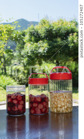 Umeboshi and pickled shallot | Homemade pickles made in the countryside of Japan Image 105272407