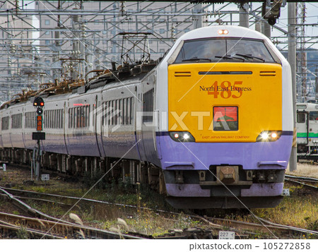 [Driver's face has been blurred] JR East 485 Series 3000 Series Limited Express Shiratori Departing from Hakodate Station From a nearby road 105272858