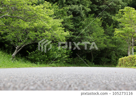 Roads and landscape 105273116