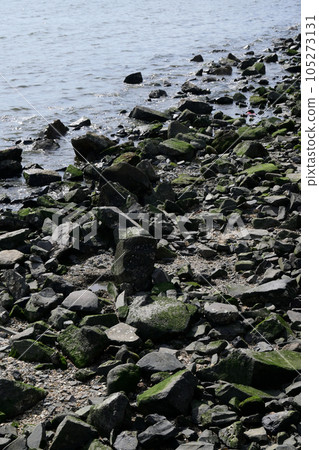 Gorota Stone Coast 105273131