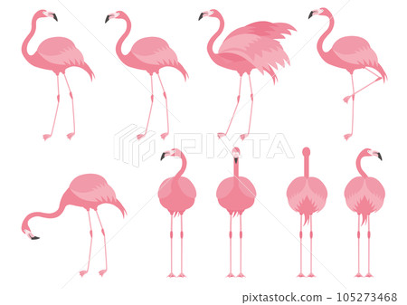 Set of flamingo illustrations in various poses 105273468