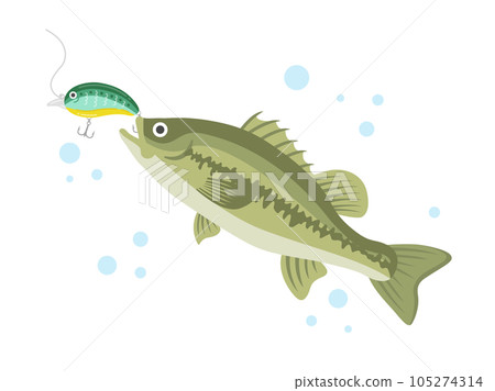 Illustration of a black bass fishing with a green lure 105274314