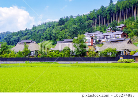 Rural scenery and a thatched inn Rural scenery and a thatched inn 105274983