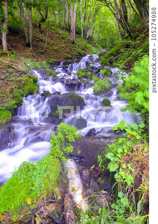 Koshimizu waterfall (vertical) Koshimizu waterfall (vertical) 105274988