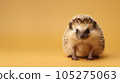 Advertising portrait, banner, small biege classic hedgehog with needles, straight look , isolated on yellow background. High quality illustration 105275063
