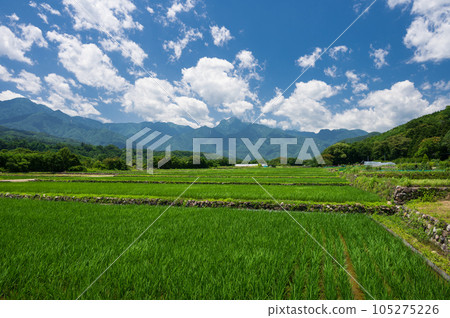 Rural scenery of Takegawa-cho Original scenery Rural scenery of Takegawa-cho Original scenery 105275226