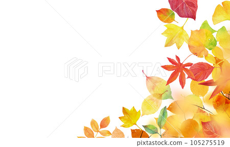 Autumn background material Fallen leaves and autumn leaves Back image Autumn background material Fallen leaves and autumn leaves Back image 105275519