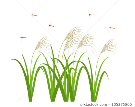 風中搖曳的蒲葦和紅蜻蜓插畫素材 105275800