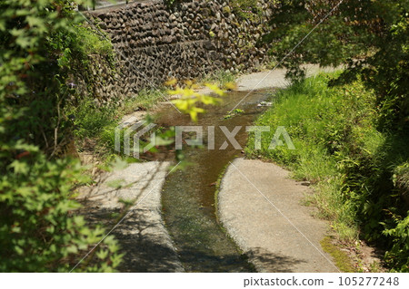 descended from Mt. Takao 105277248