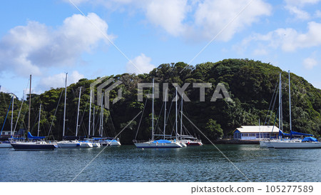 船舶停靠的港口 105277589