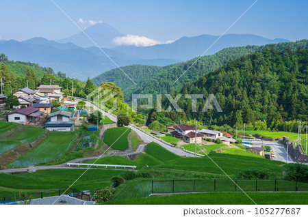 夏季平林的梯田 夏季平林的梯田 105277687