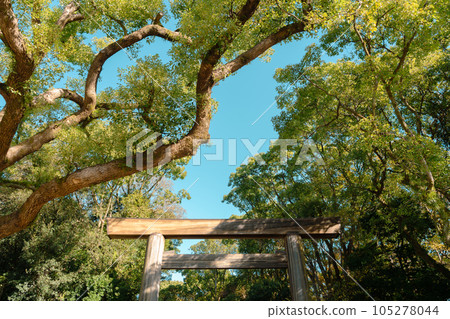 Atsuta Shrine Torii gate with green forest in Nagoya, Japan 105278044