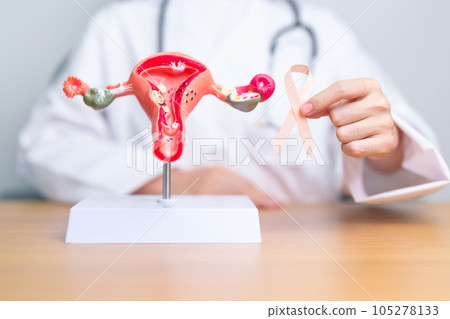 Doctor holding Peach ribbon with Uterus and Ovaries model for September Uterine Cancer Awareness month. Endometriosis, Hysterectomy, Uterine fibroids, Reproductive, Healthcare and World cancer day Doctor holding Peach ribbon with Uterus and Ovaries model for September Uterine Cancer Awareness month. Endometriosis, Hysterectomy, Uterine fibroids, Reproductive, Healthcare and World cancer day 105278133