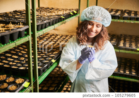 Joyful female gardener holding pot with seedlings. Woman farmer in laboratory suit and disposable cap showing plant sprouts in greenhouse. Joyful female gardener holding pot with seedlings. Woman farmer in laboratory suit and disposable cap showing plant sprouts in greenhouse. 105279605