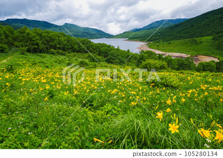 Nomusho的Nikko Kishige 105280134