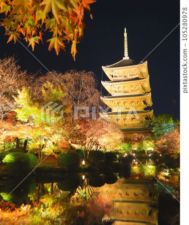 Toji in autumn (light up, Kyoto city, vertical composition) 105280978