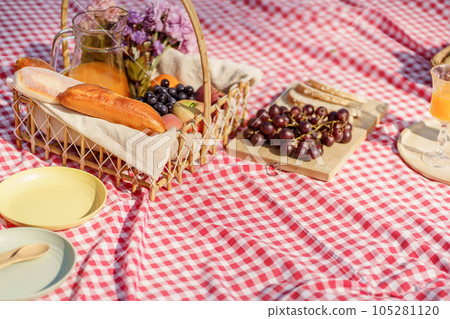 Picnic Lunch Meal Outdoors Park with food picnic basket. enjoying picnic time in park nature outdoor Picnic Lunch Meal Outdoors Park with food picnic basket. enjoying picnic time in park nature outdoor 105281120