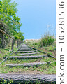 Stairs to the sky 105281536