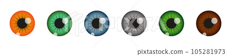 Closeup view of human eye pupils with different colors isolated on white background. Espionage, curiosity, spying, surveillance concept. Vector realistic illustration 105281973