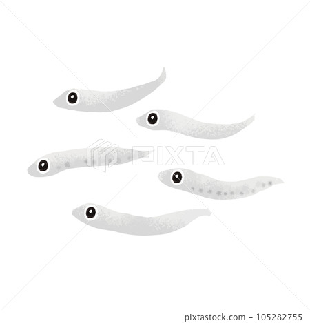 Shirasu 插畫素材 105282755