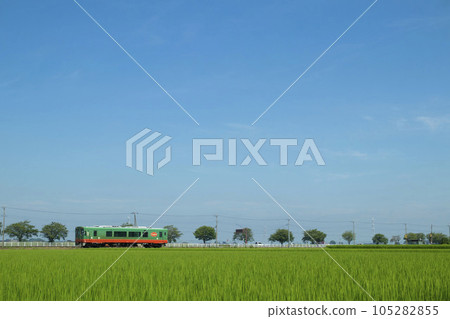 Sunny Summer Moka Railway Sunny Summer Moka Railway 105282855