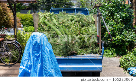 Pruning garden trees 105283069