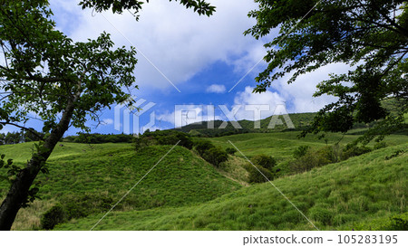 Early summer in Inatori Hosono Plateau, Shizuoka Prefecture 105283195