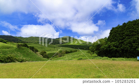 Early summer in Inatori Hosono Plateau, Shizuoka Prefecture 105283201