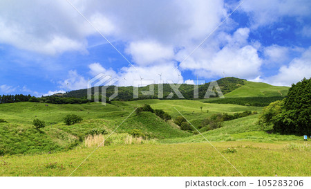 Early summer in Inatori Hosono Plateau, Shizuoka Prefecture 105283206