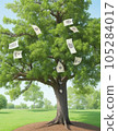 Money tree 105284017