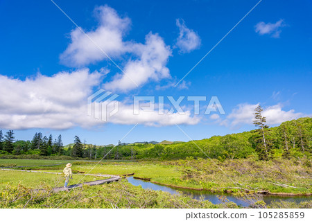 新仙沼散步木板路女子徒步 105285859