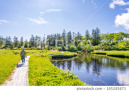 Shinsennuma Promenade Boardwalk Women's Trekking Shinsennuma Promenade Boardwalk Women's Trekking 105285871