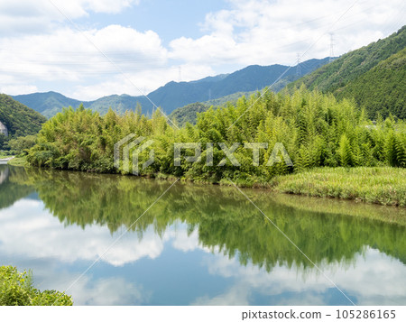 伊博河夏季景觀。 (兵庫縣紫蘇市) 伊博河夏季景觀。 (兵庫縣紫蘇市) 105286165
