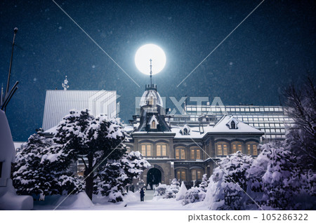 雪中的北海道政府舊辦公樓 AI 圖像 雪中的北海道政府舊辦公樓 AI 圖像 105286322