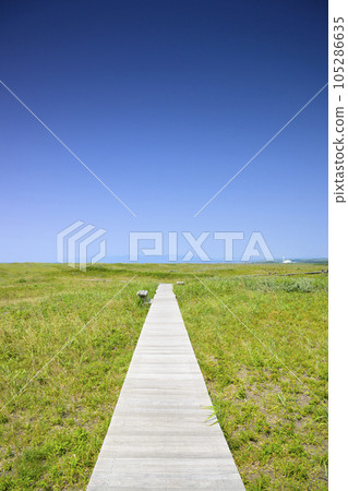 Grassland and blue sky background (Hamanasu no Oka Park in Ishikari, Hokkaido) 105286635