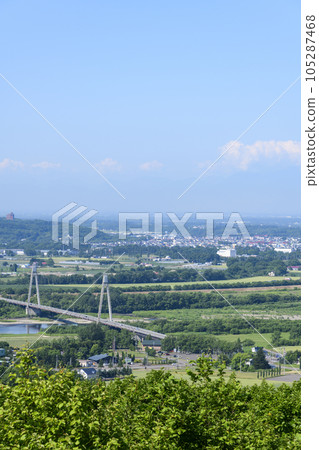 從十勝丘展望台眺望十勝平原 105287468