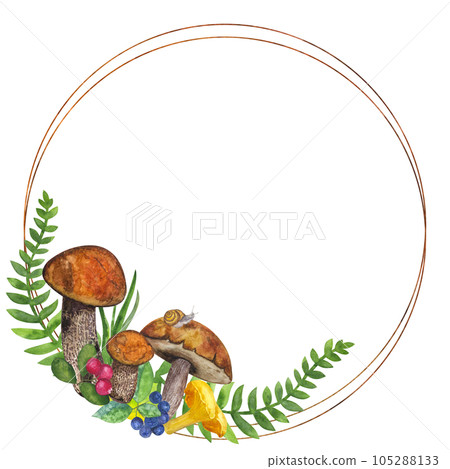 Round frame botanical wreath: edible mushrooms, leaves and berries, fern, snail, grass, cranberry, mountain ash. Hand draw watercolor illustration isolated on white background 105288133