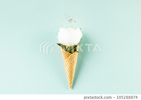 Flat-lay of waffle cone with peony flower over pastel light blue background, top view 105288874