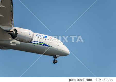 [ANA aircraft green jet ready to land from the sky above Jonanjima Seaside Park] 105289049