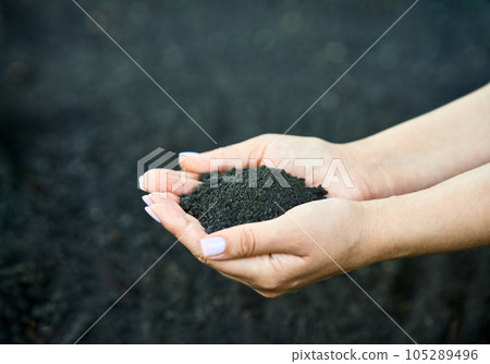 Woman hands holding soil. New life, eco, sustainable living, zero waste, plastic free, earth day concept 105289496