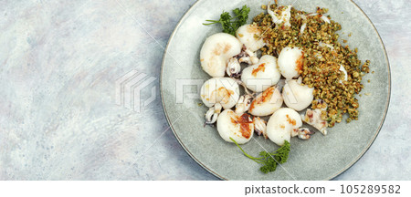 Baked calamari with nuts, space for text. 105289582