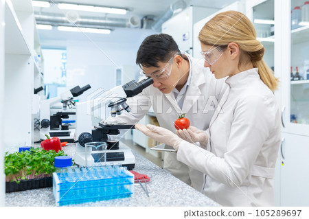 Scientist team asian man and woman testing and researching food, researchers testing vegetables inside laboratory using microscope, workers in white medical coats. 105289697